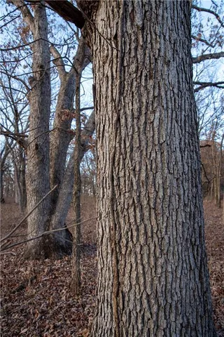 $1,185,000 | West State M Highway, Eagleville, MO 64442