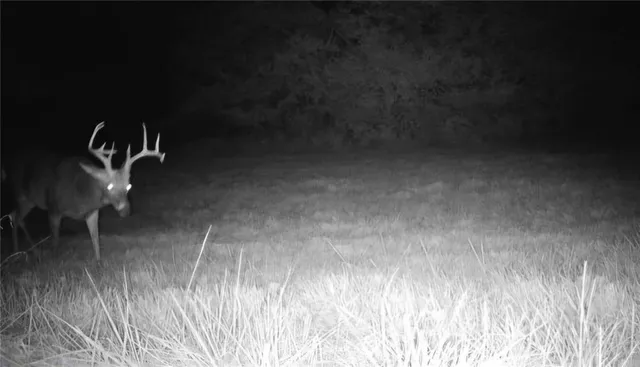 $1,152,800 | West State M Highway, Eagleville, MO 64442