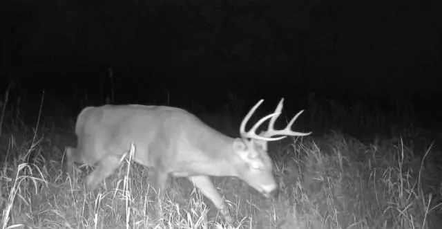 $1,152,800 | West State M Highway, Eagleville, MO 64442