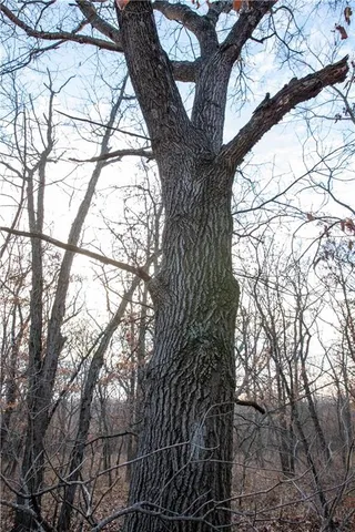 $1,185,000 | West State M Highway, Eagleville, MO 64442