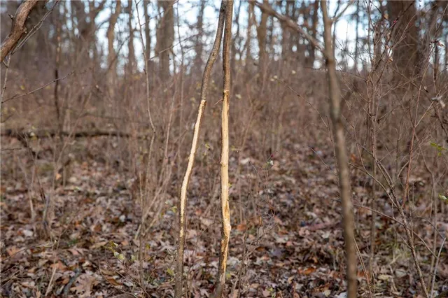 $1,185,000 | West State M Highway, Eagleville, MO 64442