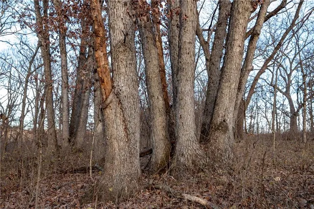 $1,185,000 | West State M Highway, Eagleville, MO 64442