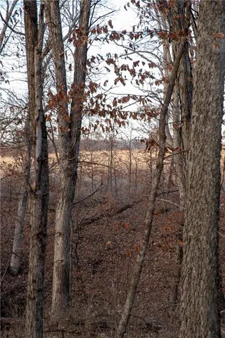 $1,185,000 | West State M Highway, Eagleville, MO 64442