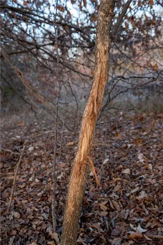 $1,185,000 | West State M Highway, Eagleville, MO 64442