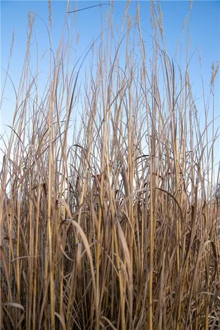 $1,185,000 | West State M Highway, Eagleville, MO 64442