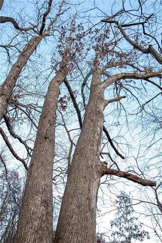 $1,185,000 | West State M Highway, Eagleville, MO 64442