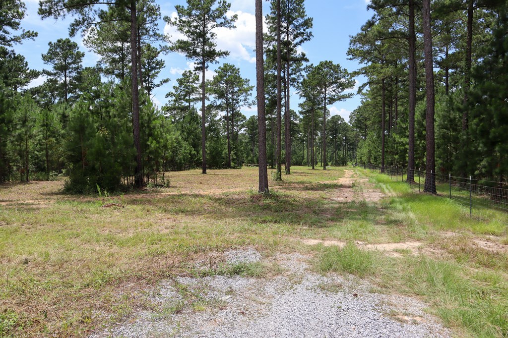 185 Ben Ivey Road Webb, AL 36376 - Photo 4 of 9