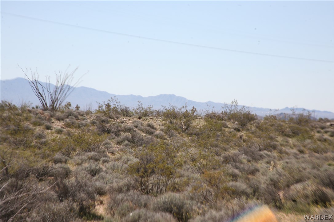208-24-134 Cameron Road Yucca, AZ 86438 - Photo 63 of 86