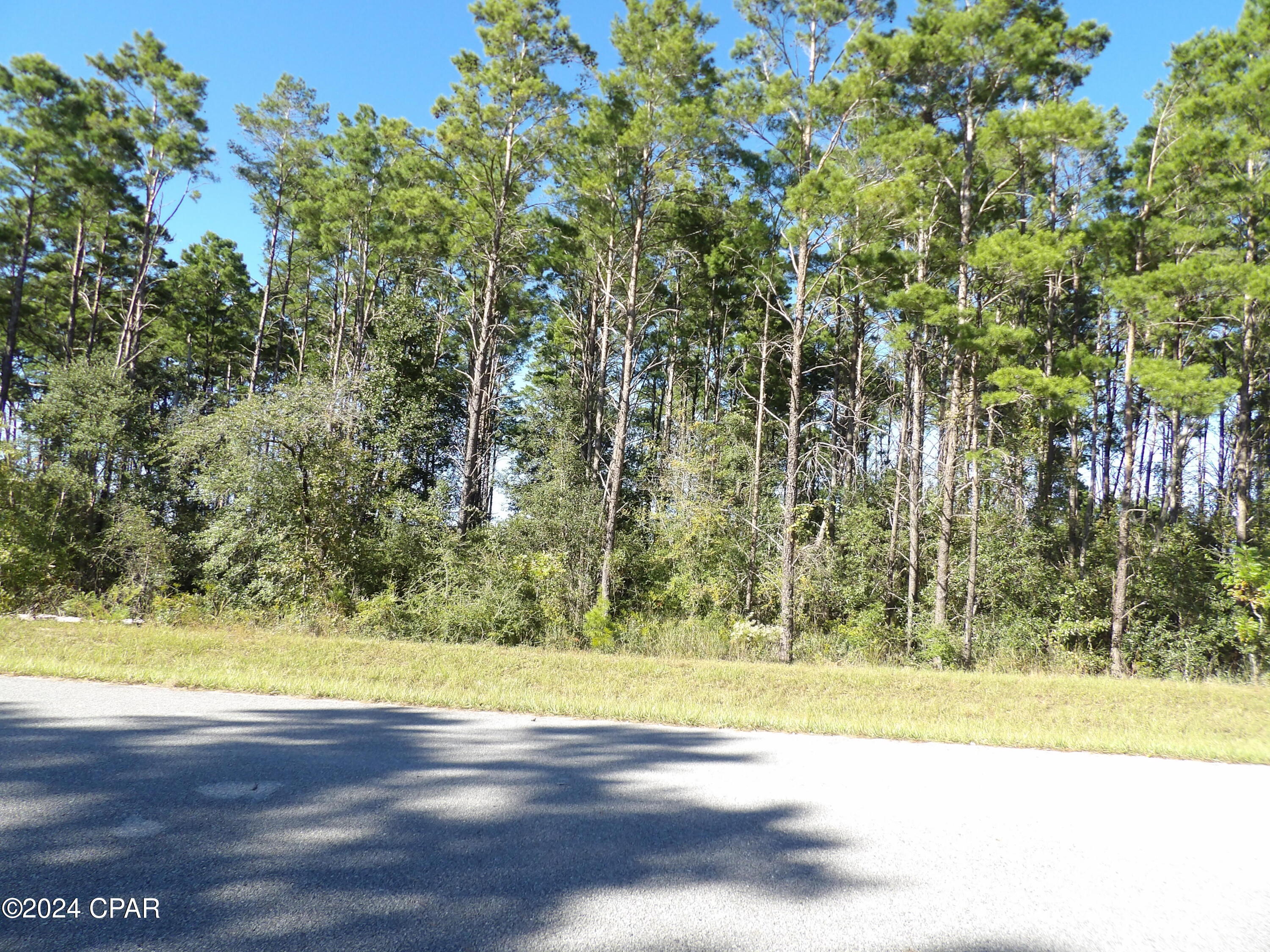 14723 Bream Pond Road Panama City, FL 32409 - Photo 10 of 25 Gallery Image 10