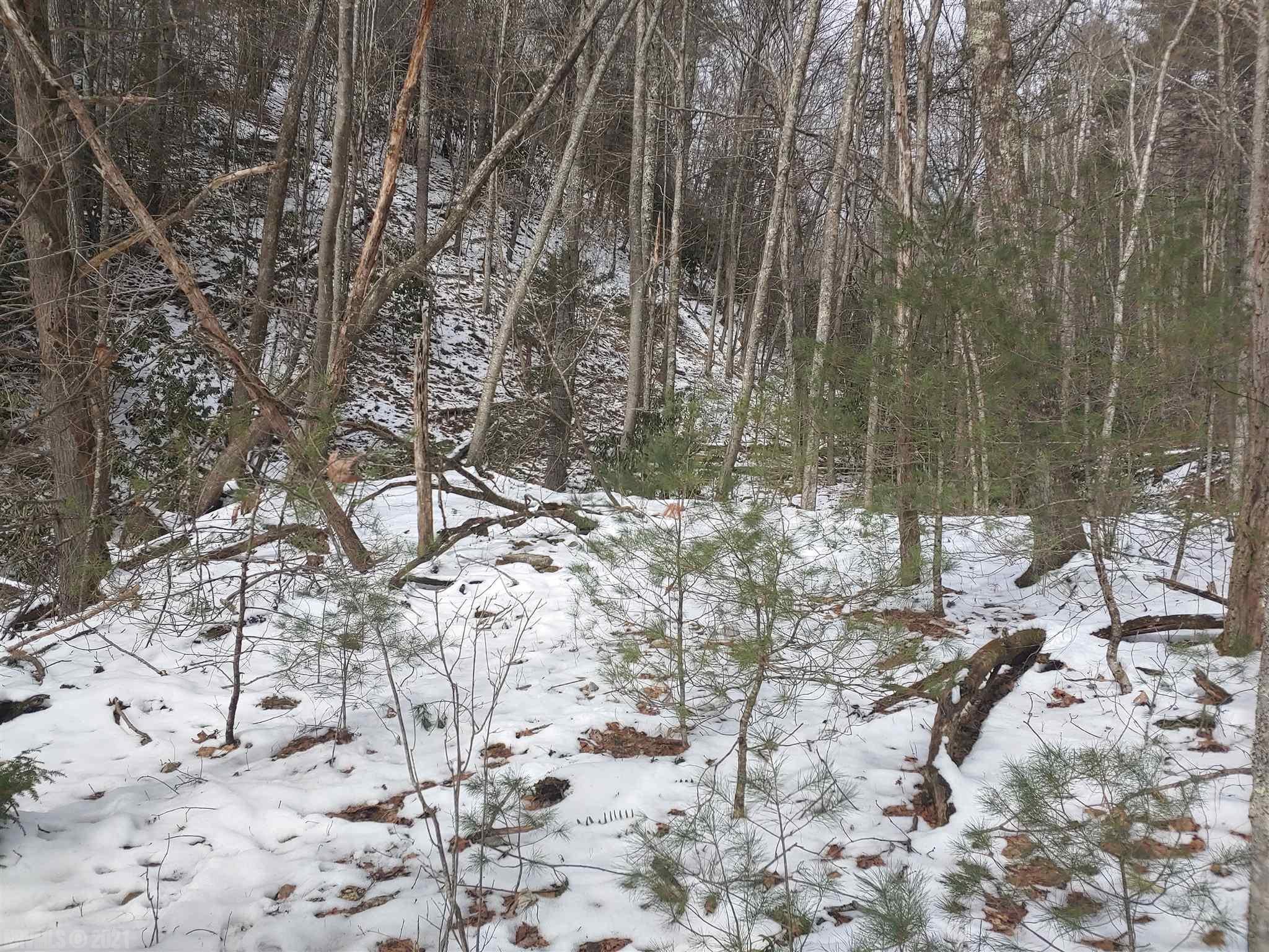 Tbd Tbd Macks Mtn Road Indian Valley, VA 24105 - Photo 20 of 27 Gallery Image 20