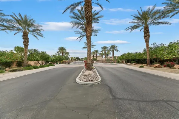 a picture of a beach with palm trees