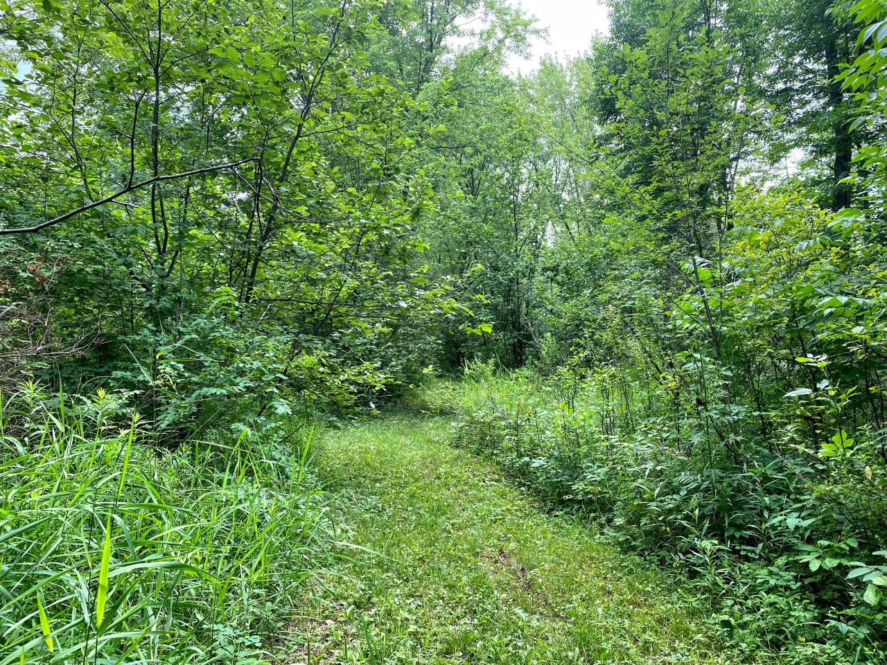 N11342 Popple Hill Road Phillips, WI 54555 - Photo 10 of 32 Gallery Image 10
