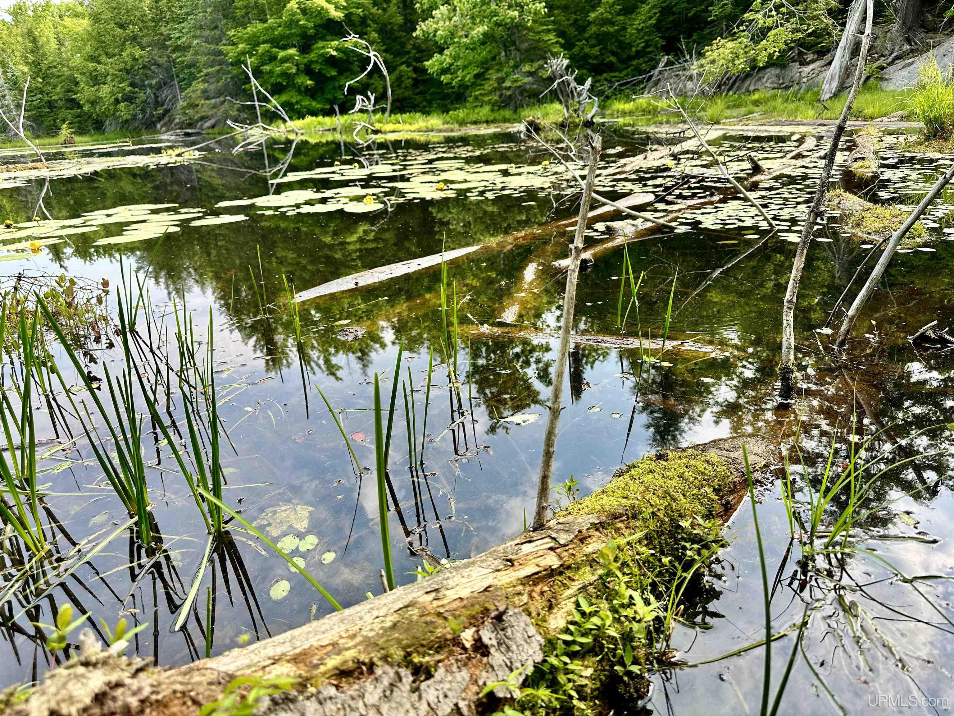 510 Rd Negaunee Mi 49866 Road Negaunee, MI 49866 - Photo 56 of 71
