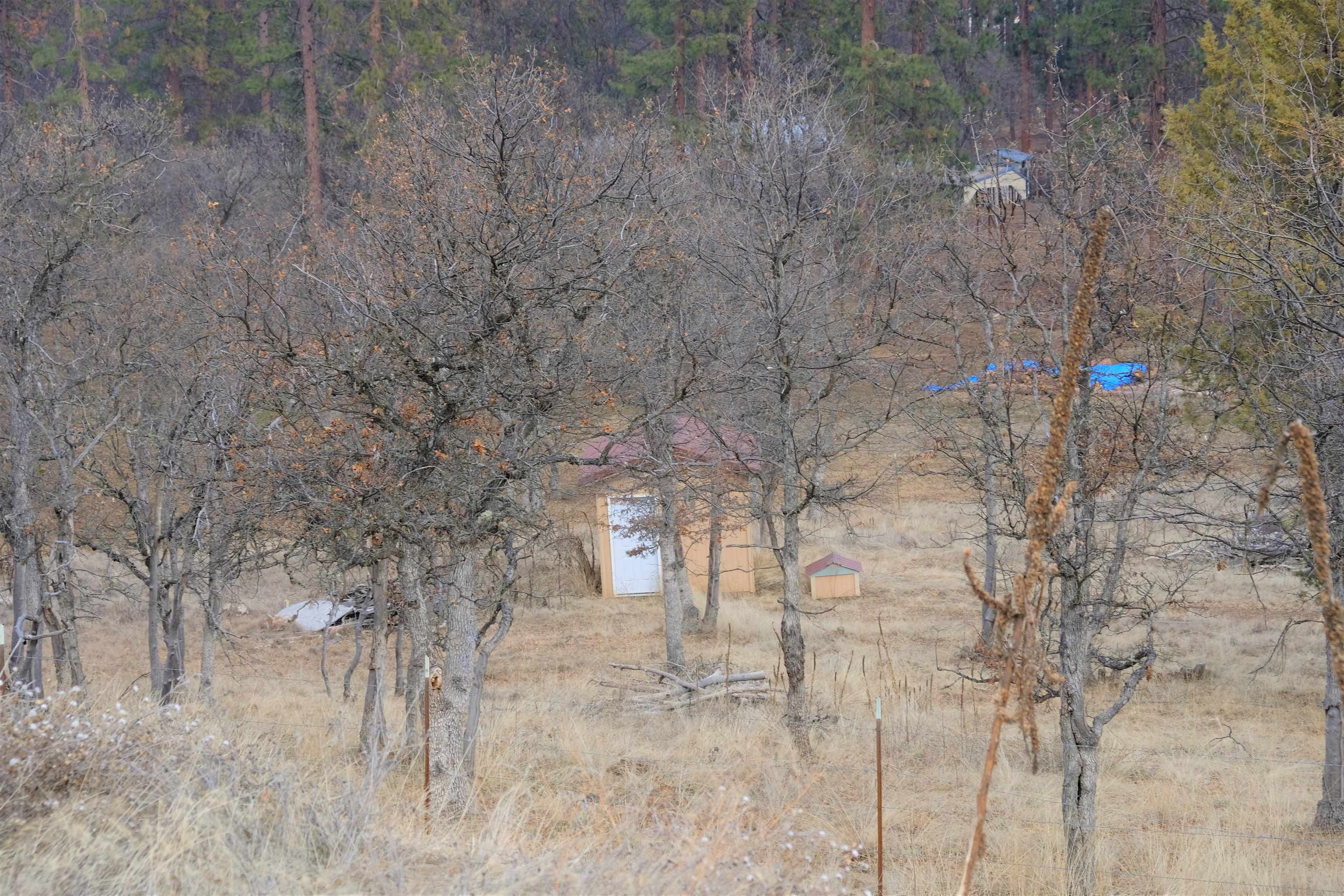 4902 Travis Heights Road Yreka, CA 96097 - Photo 10 of 32 Gallery Image 10