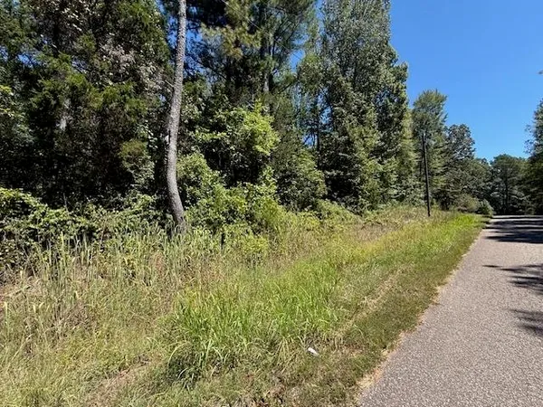 a view of a yard with plants and a tree