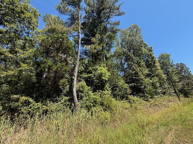 2 Kendrick/gin Road Michie, TN 38357 - Photo 2 of 9 a view of a lush green forest