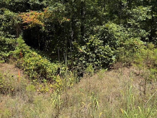 2 Kendrick/gin Road Michie, TN 38357 - Photo 4 of 9 a view of a yard