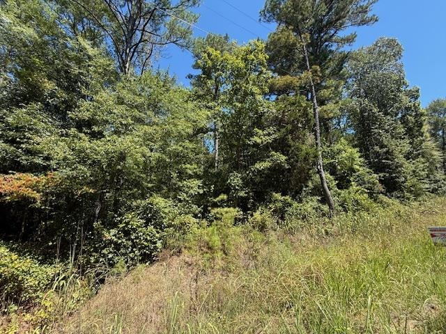 2 Kendrick/gin Road Michie, TN 38357 - Photo 5 of 9 a view of a garden with a tree