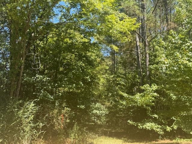 2 Kendrick/gin Road Michie, TN 38357 - Photo 8 of 9 a view of a tree