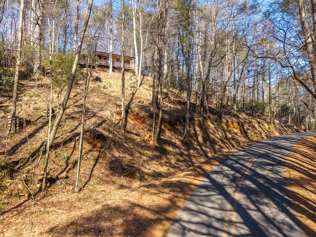3185 Old Flat Branch Road Ellijay, GA 30540 - Photo 2 of 35 Gallery Image 2