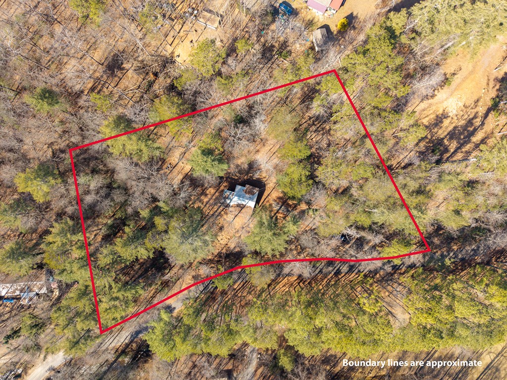 3185 Old Flat Branch Road Ellijay, GA 30540 - Photo 35 of 35 Gallery Image 35