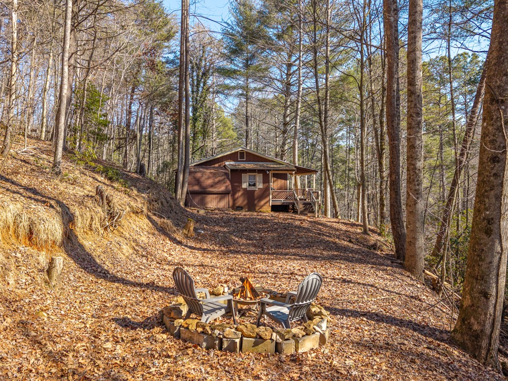 3185 Old Flat Branch Road Ellijay, GA 30540 - Photo 4 of 35 Gallery Image 4
