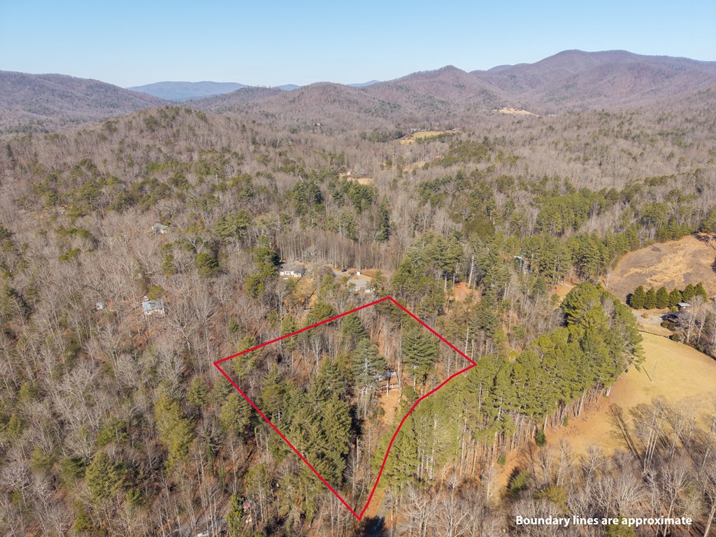 3185 Old Flat Branch Road Ellijay, GA 30540 - Photo 6 of 35 Gallery Image 6