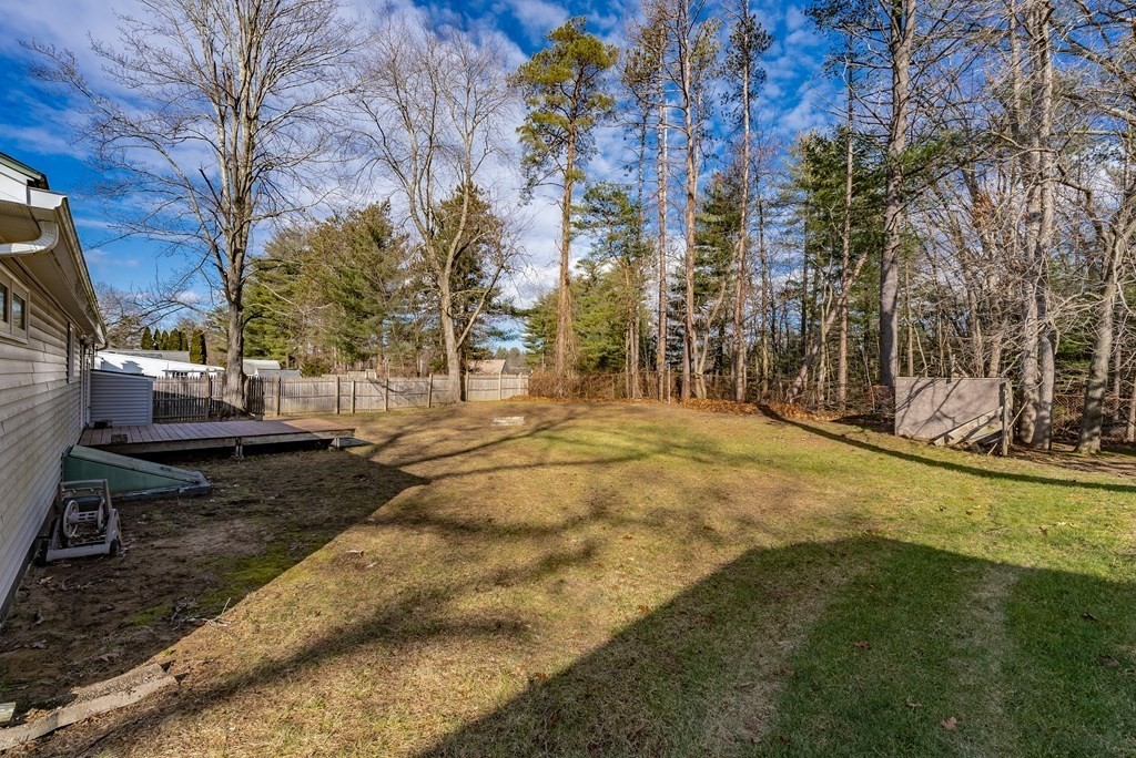 22 Ridge Road South Hadley, MA 01075 - Photo 29 of 36 a view of yard with tree