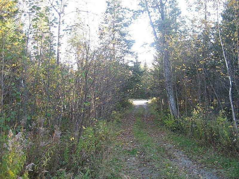825 Valley Road Anson, ME 04911 - Photo 6 of 8 Land/Lot.