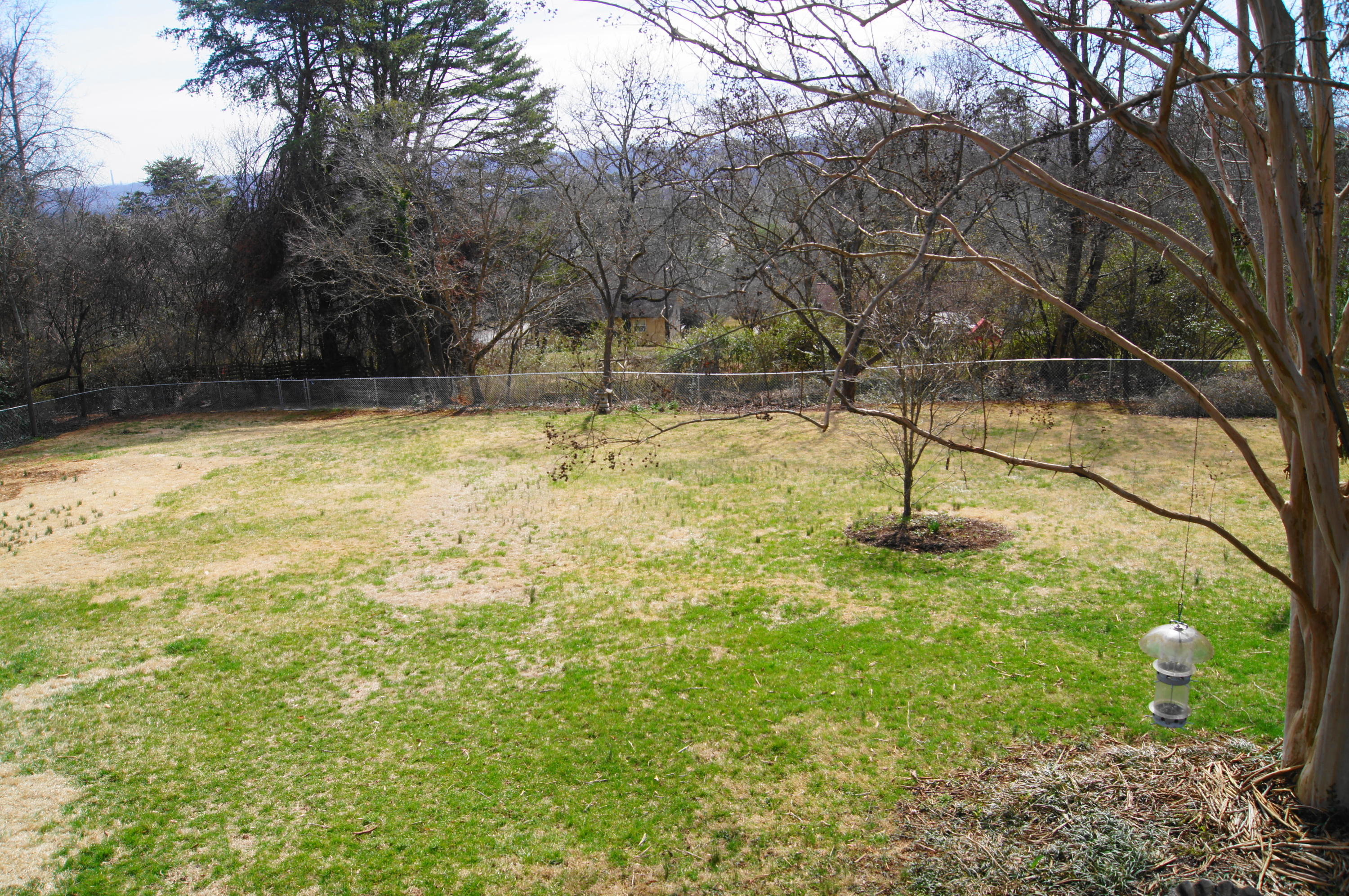 108 Westlook Circle Oak Ridge, TN 37830 - Photo 31 of 32 Backyard 1.JPG