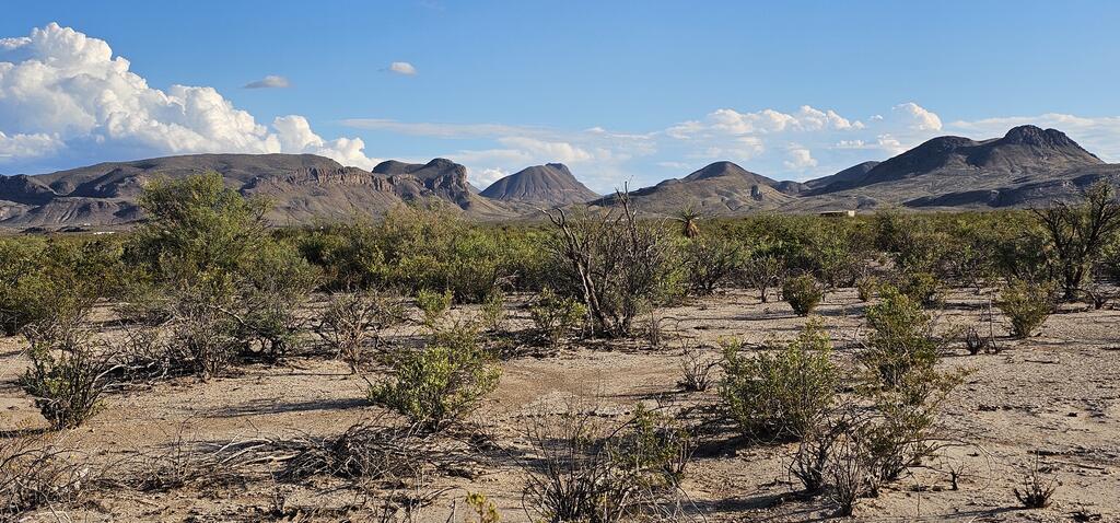 403 East Este Road Alpine, TX 79830 - Photo 2 of 32 Gallery Image 2
