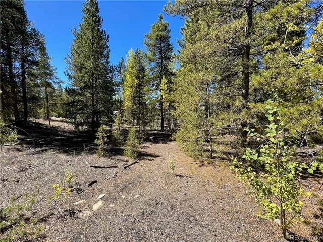 a view of road with trees
