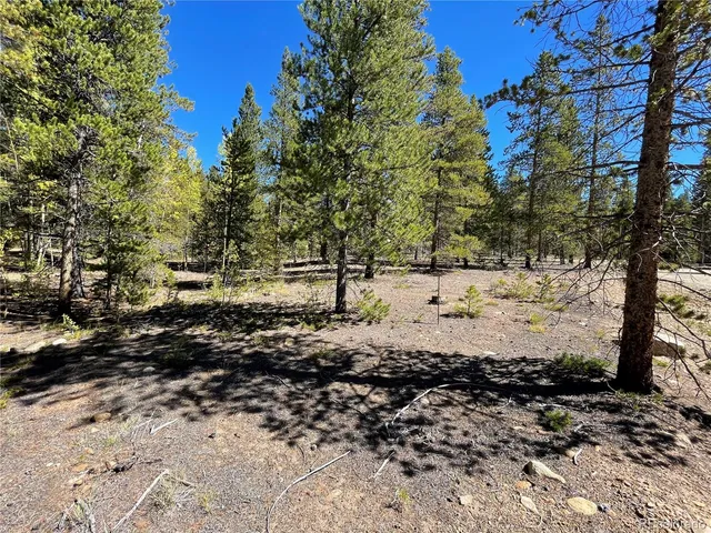 a view of a snow in the yard