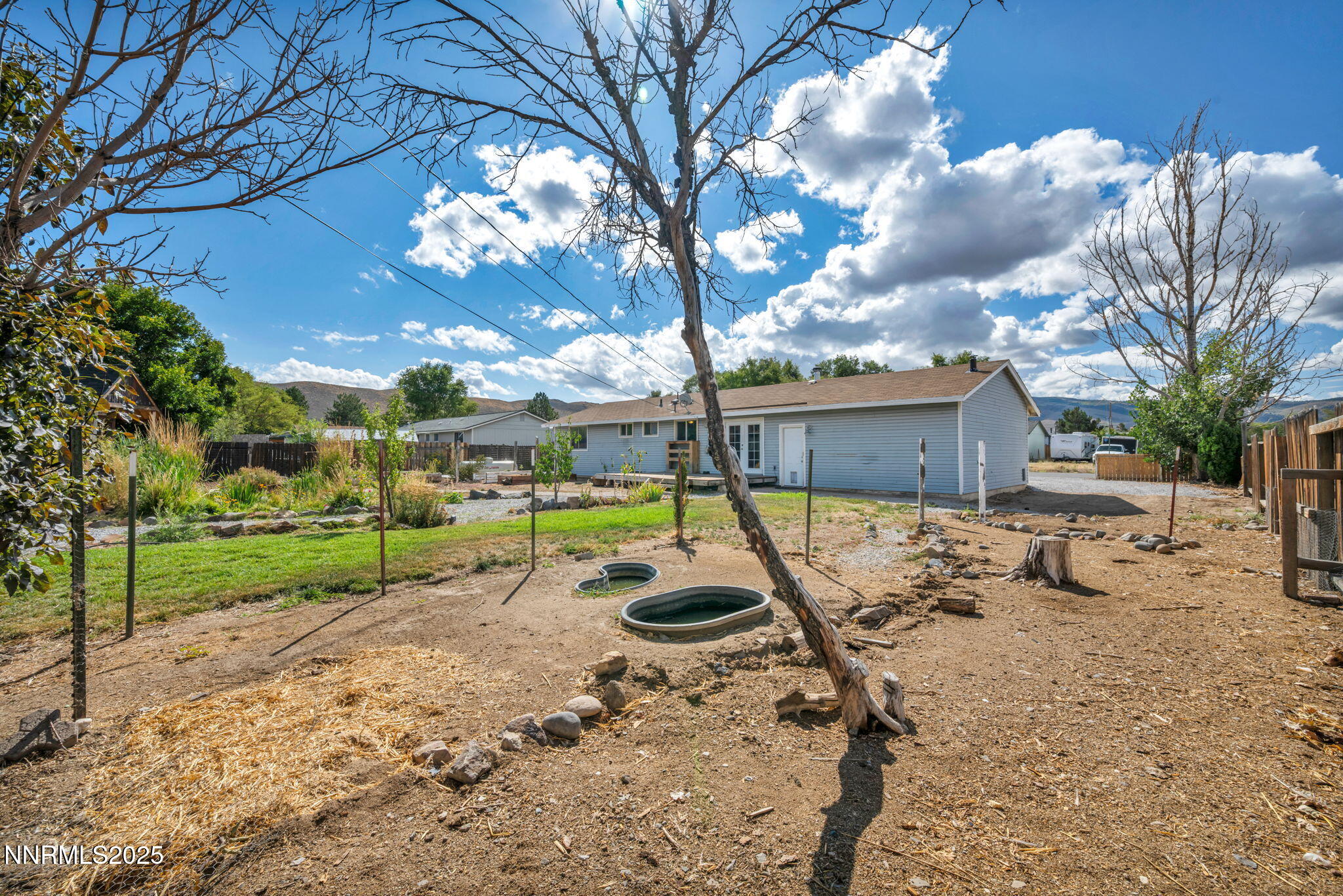 17475 Egret Lane Reno, NV 89508 - Photo 11 of 67 a view of a backyard with a tree
