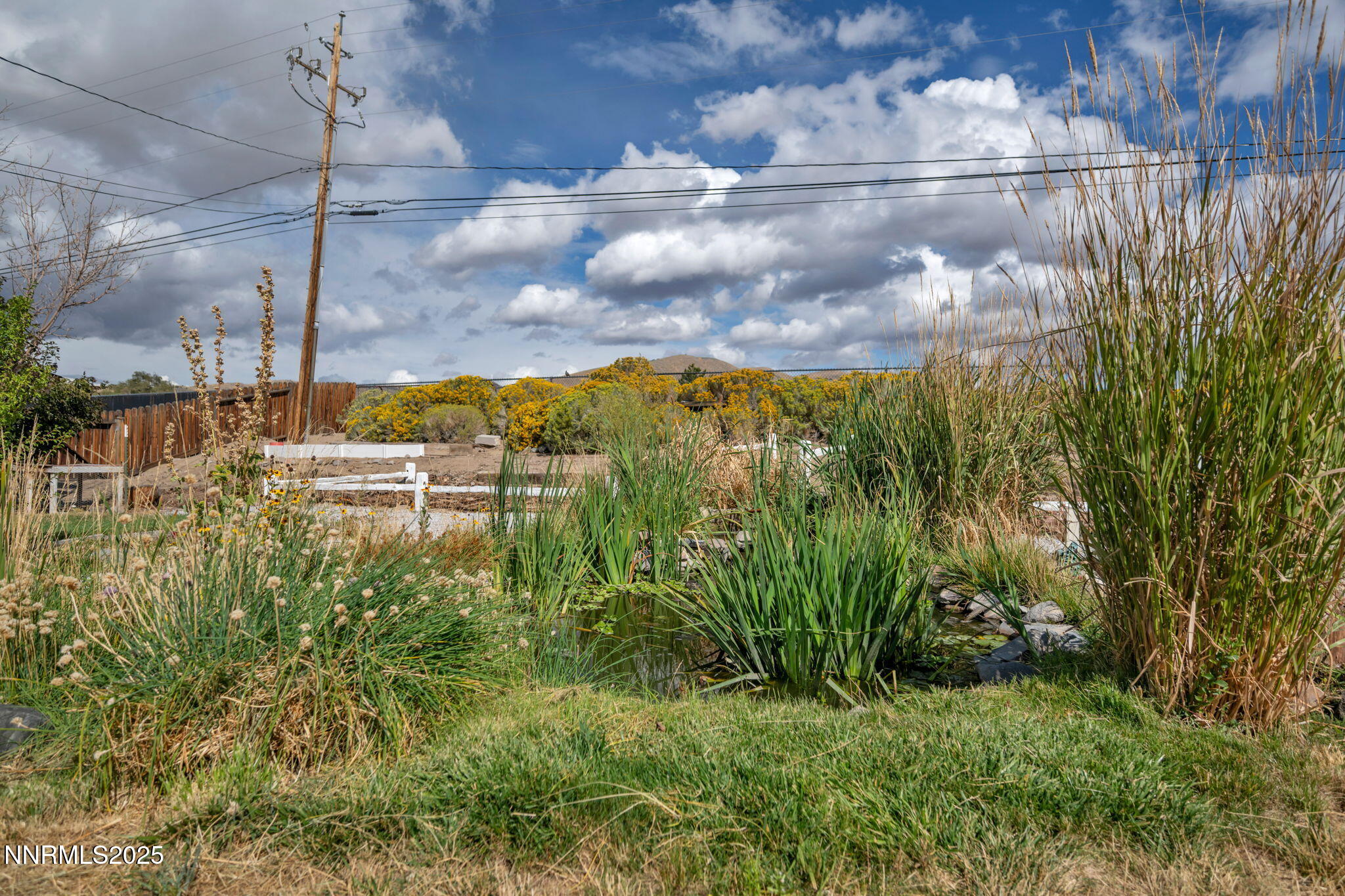 17475 Egret Lane Reno, NV 89508 - Photo 21 of 67 21-web-or-mls-17475-egret-ln