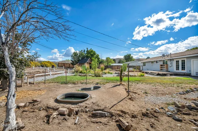 a view of a backyard with a tree