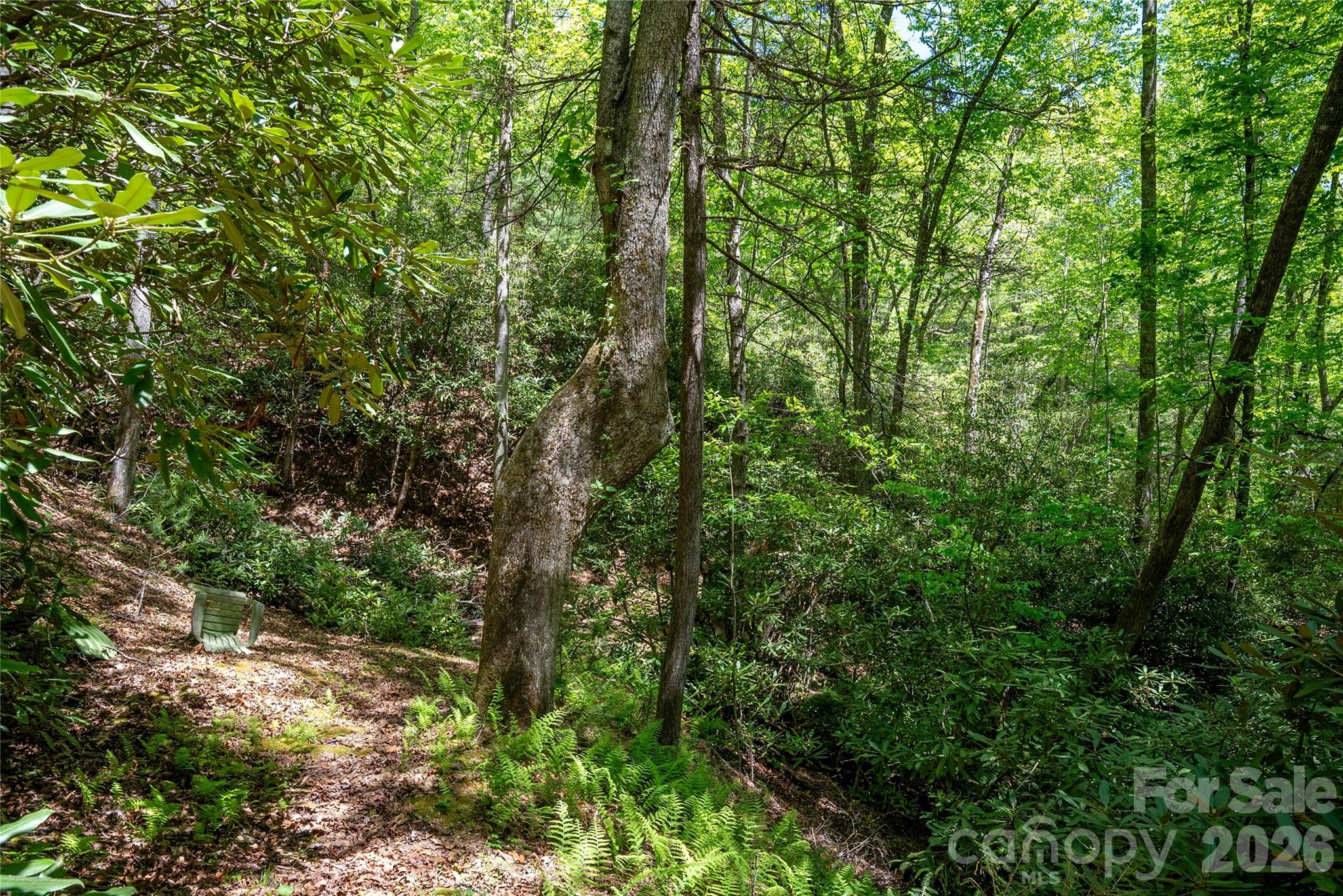 Tbd Springhouse Trail, Unit L15 Brevard, NC 28712 - Photo 14 of 21