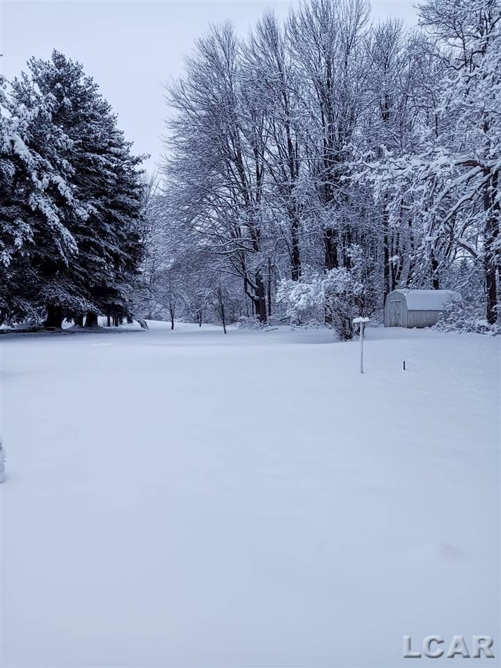 8170 Clinton Road Jackson, MI 49201 - Photo 29 of 30