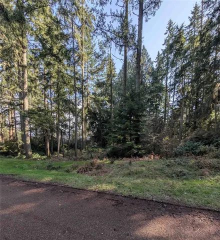 $21,500 | 10325 Totem Way, Anderson Island, WA 98303