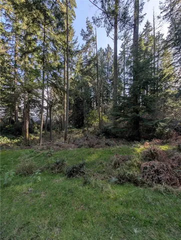 $21,500 | 10325 Totem Way, Anderson Island, WA 98303