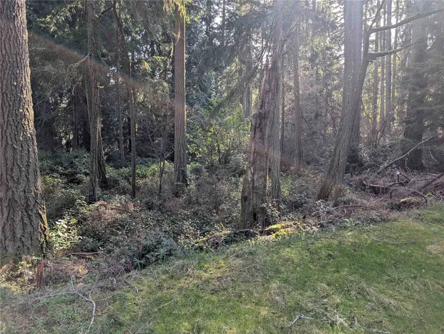 $21,500 | 10325 Totem Way, Anderson Island, WA 98303