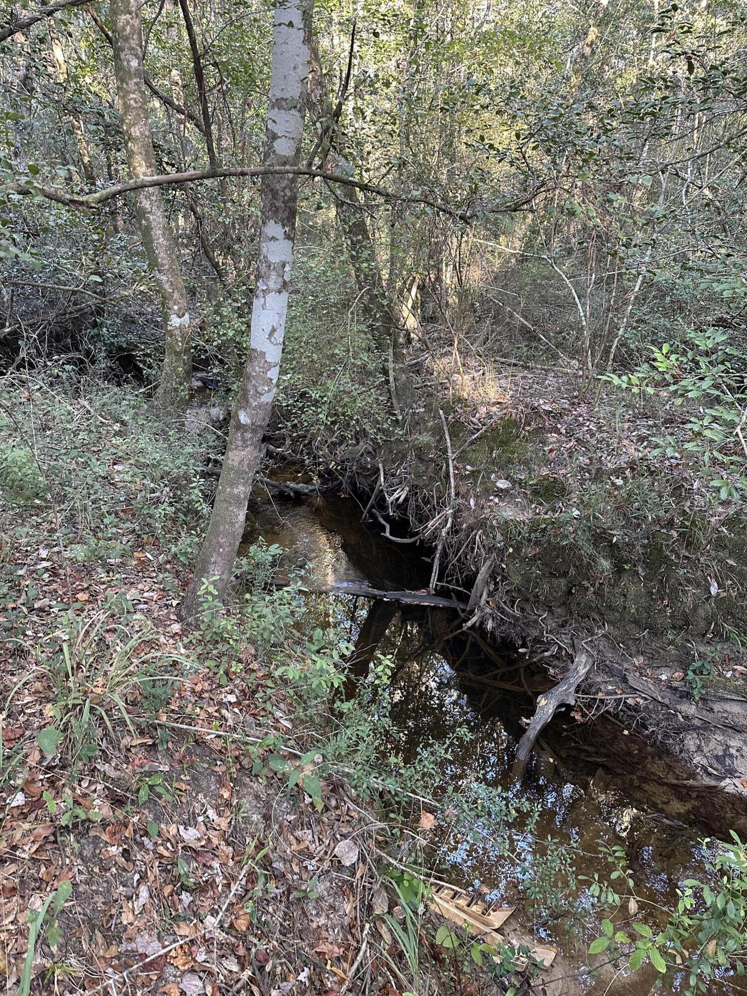20.25 Strickland Road DeFuniak Springs, FL 32435 - Photo 3 of 4 a backyard of a house with lots of green space