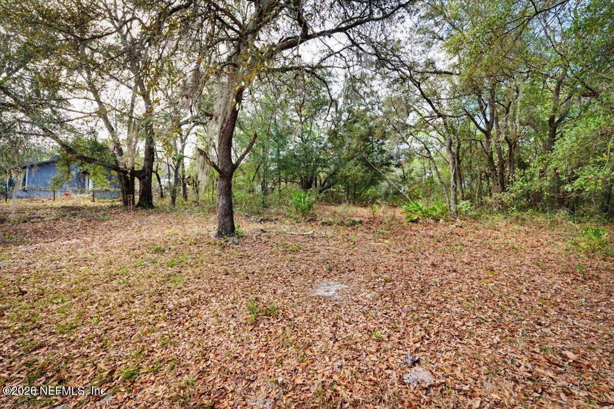53 Lion Street Middleburg, FL 32068 - Photo 25 of 28 a backyard of a house with lots of green space