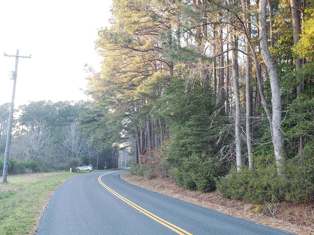 Lot 1 Country Club Road, Unit 1 Melfa, VA 23410 - Photo 3 of 17