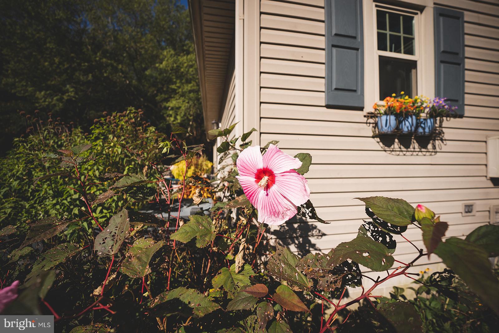33719 Wango Road Parsonsburg, MD 21849 - Photo 50 of 95 Gallery Image 50