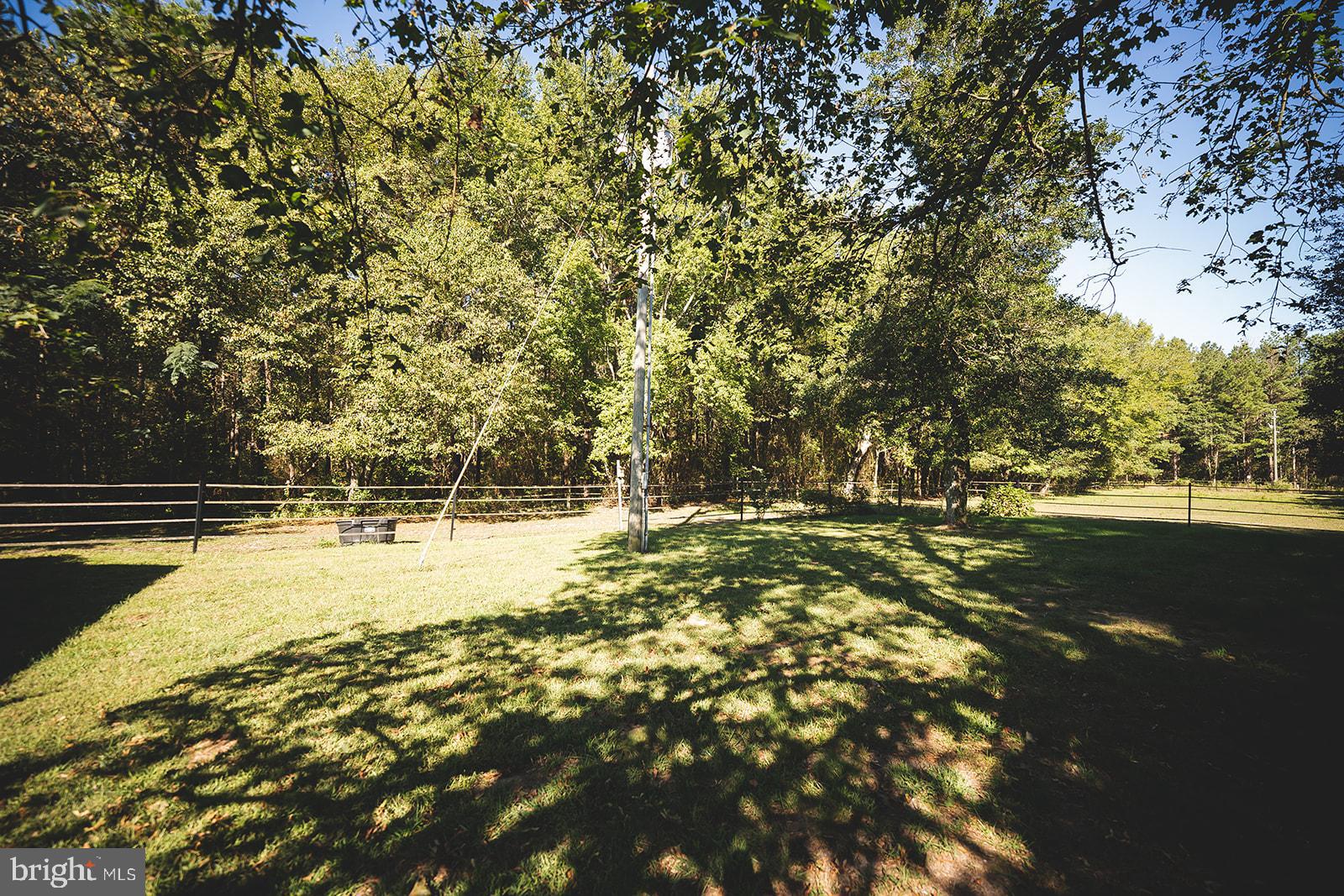 33719 Wango Road Parsonsburg, MD 21849 - Photo 54 of 95 Gallery Image 54