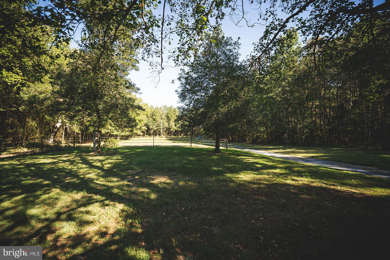 33719 Wango Road Parsonsburg, MD 21849 - Photo 56 of 95 Gallery Image 56