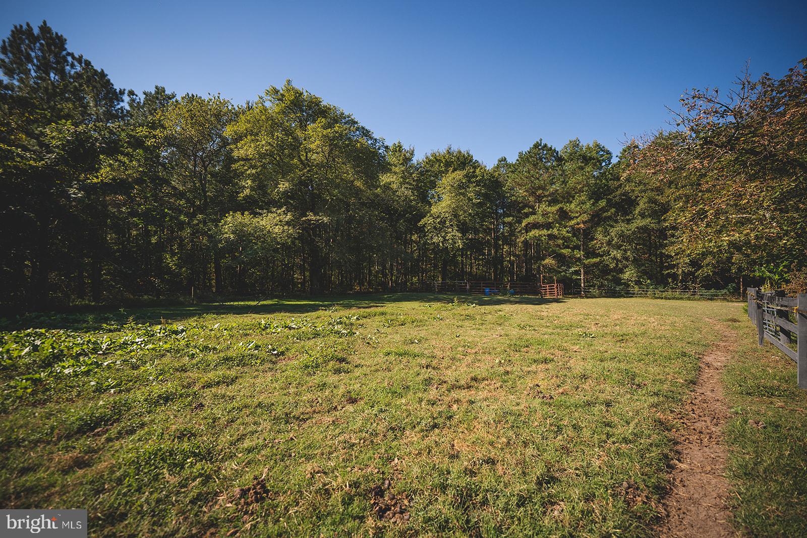 33719 Wango Road Parsonsburg, MD 21849 - Photo 63 of 95 Gallery Image 63