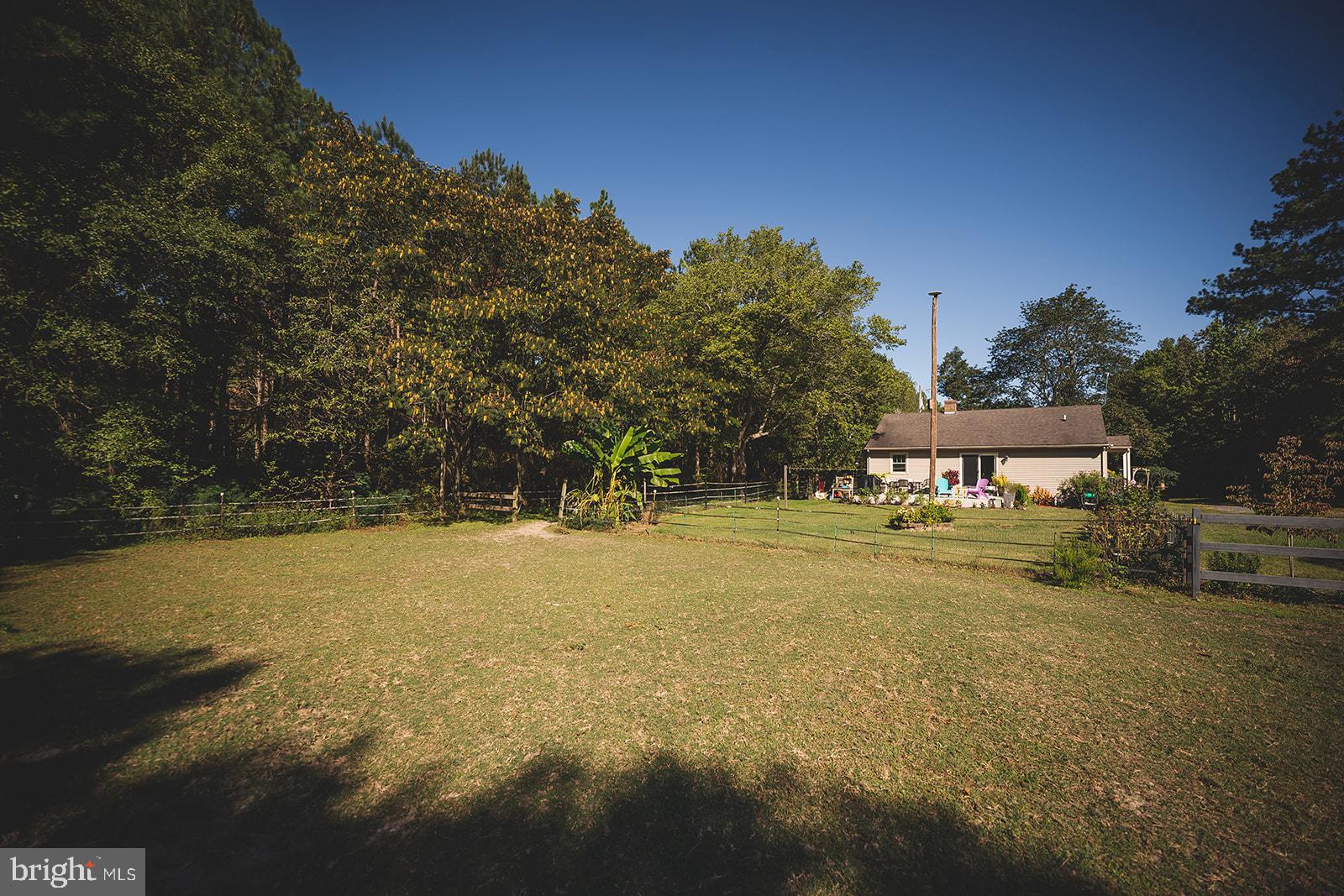 33719 Wango Road Parsonsburg, MD 21849 - Photo 65 of 95 Gallery Image 65