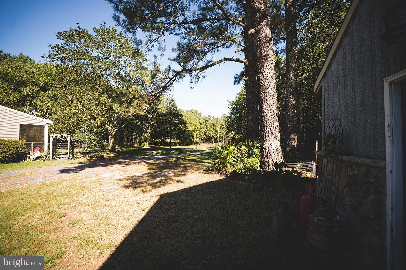 33719 Wango Road Parsonsburg, MD 21849 - Photo 73 of 95 Gallery Image 73